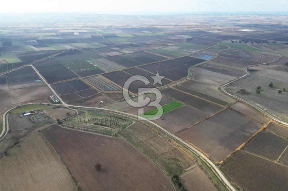 Çanakkale Çıplak Köyü Bağ Evine Uygun 7.388 m² Satılık Tarla