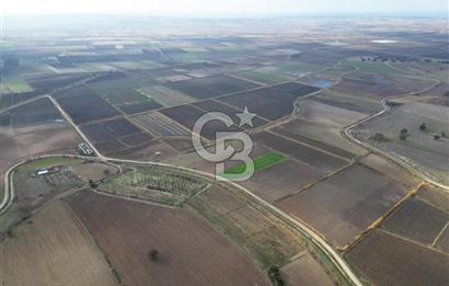 Çanakkale Çıplak Köyü Bağ Evine Uygun 7.388 m² Satılık Tarla