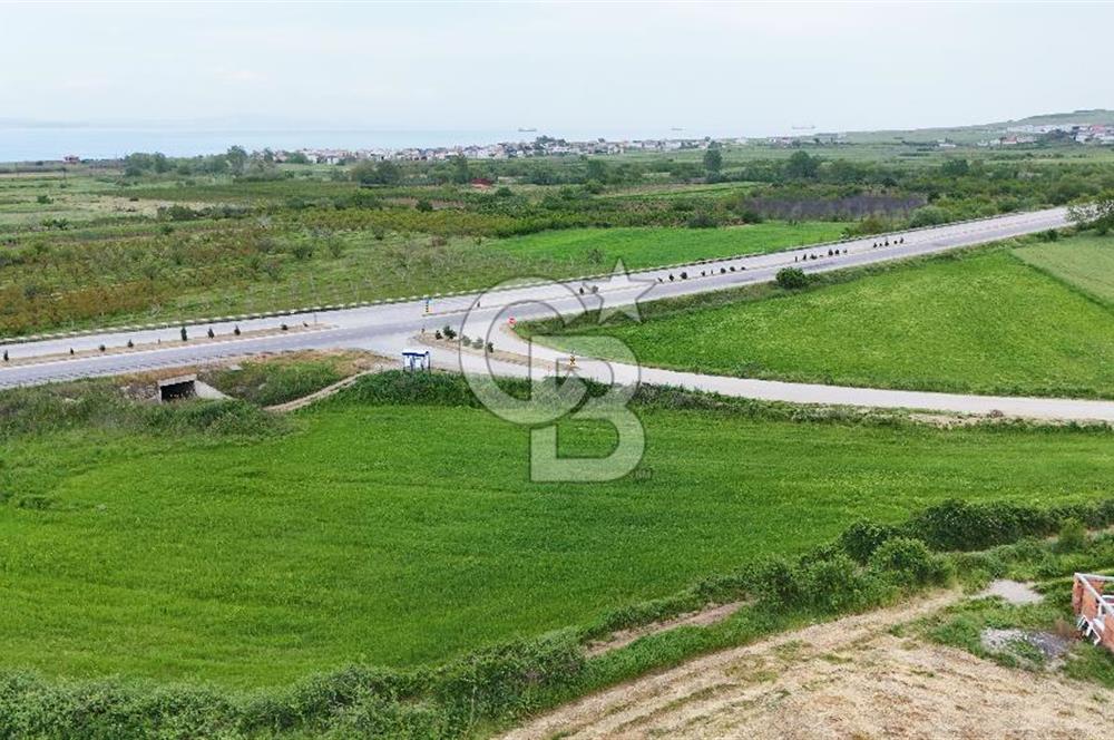 Çanakkale Lapseki Çardak da 332 m² Satılık Arsa