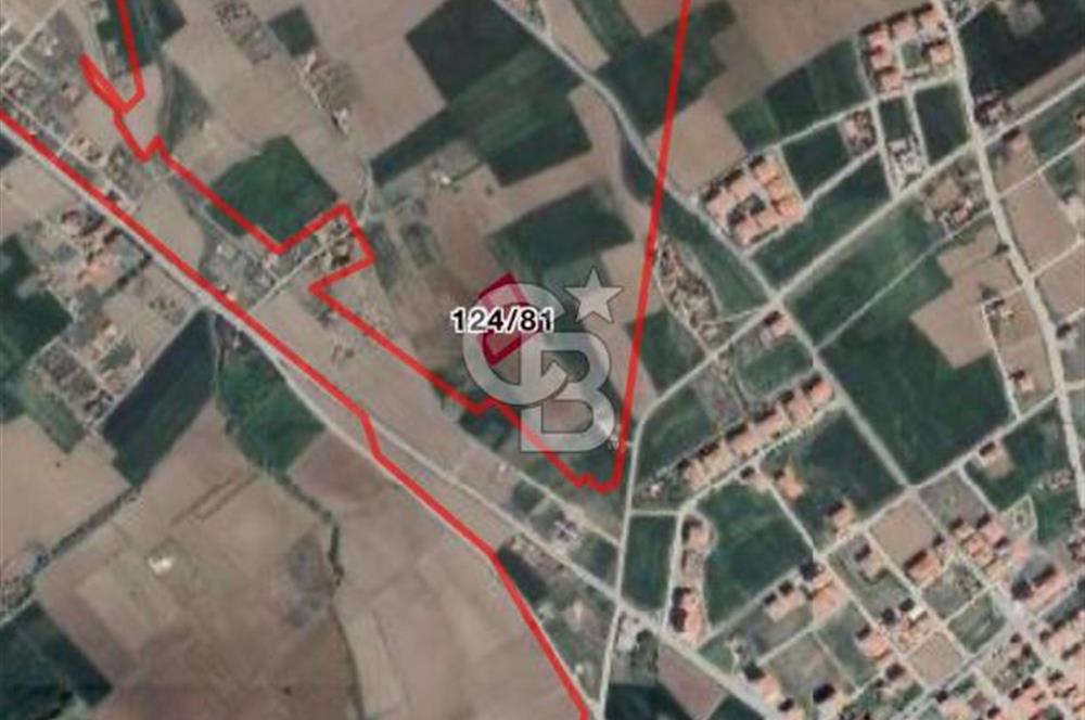 Kahramankazan'da Merkeze Çok Yakın SATILIK Tek Tapu Tarla