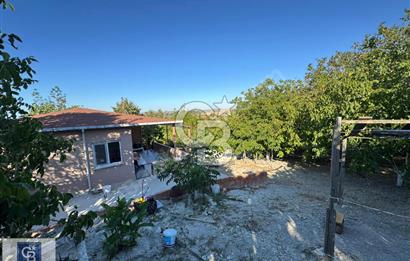 ÇATALÇA KESTANELİK MAH. SATILIK 10.713 M2 TARLA VE EV