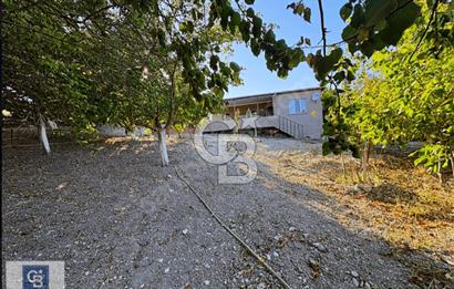 ÇATALÇA KESTANELİK MAH. SATILIK 10.713 M2 TARLA VE EV