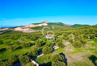 Aliağa Aşağı Şakran 220 m2 tarla