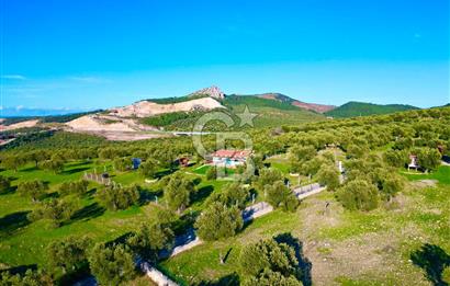 Aliağa Aşağı Şakran 220 m2 tarla