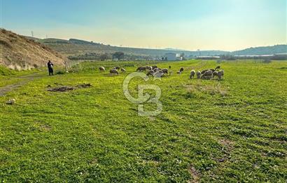 Aliağa Yukarı Şakran 214 m2 tarla