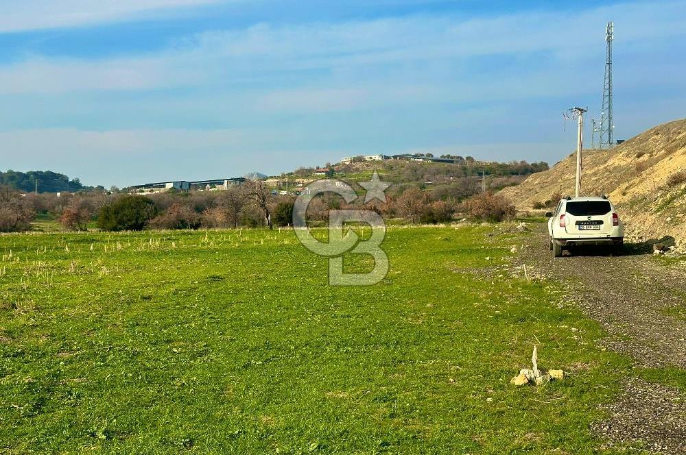 Aliağa Yukarı Şakran 214 m2 tarla