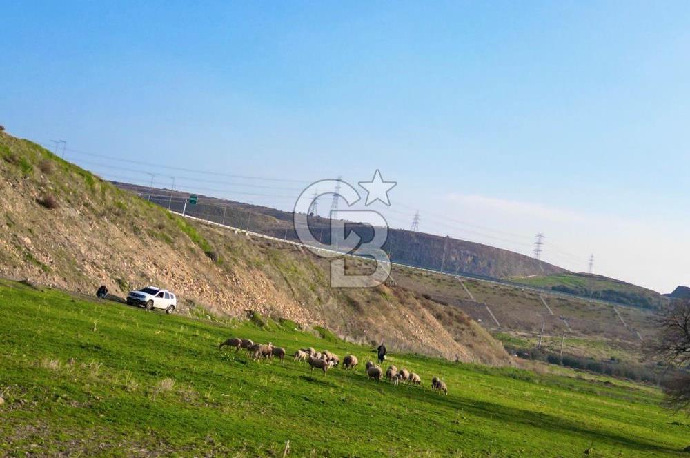 Aliağa Yukarı Şakran 214 m2 tarla
