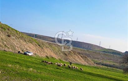 Aliağa Yukarı Şakran 214 m2 tarla