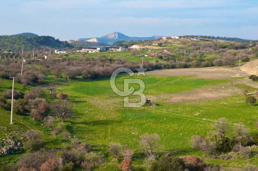 Aliağa Yukarı Şakran 214 m2 tarla