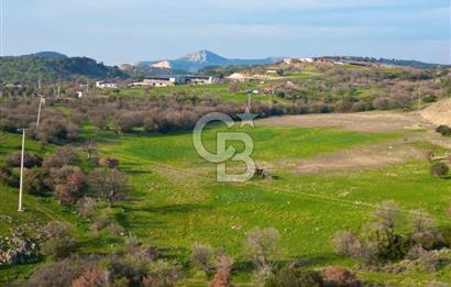 Aliağa Yukarı Şakran 214 m2 tarla