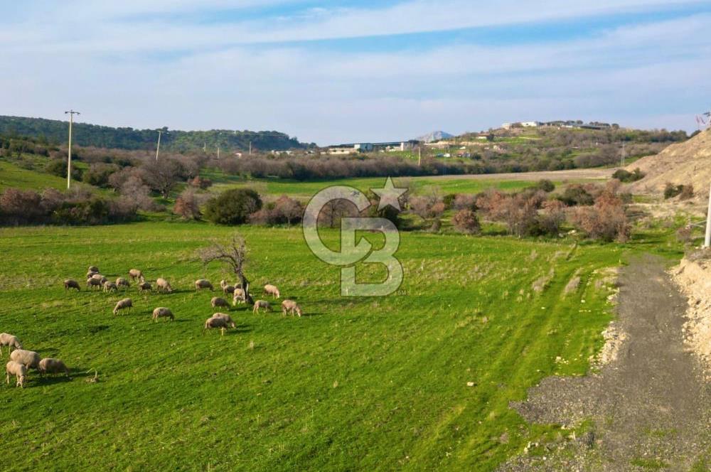 Aliağa Yukarı Şakran 214 m2 tarla