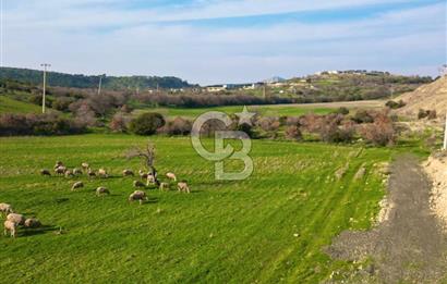 Aliağa Yukarı Şakran 214 m2 tarla