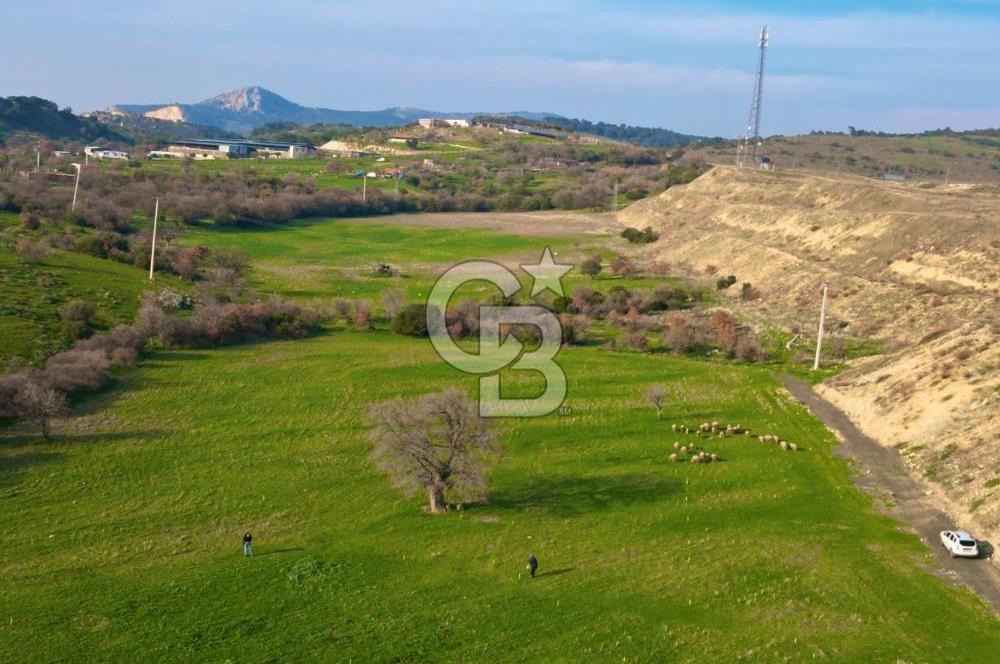 Aliağa Yukarı Şakran 214 m2 tarla