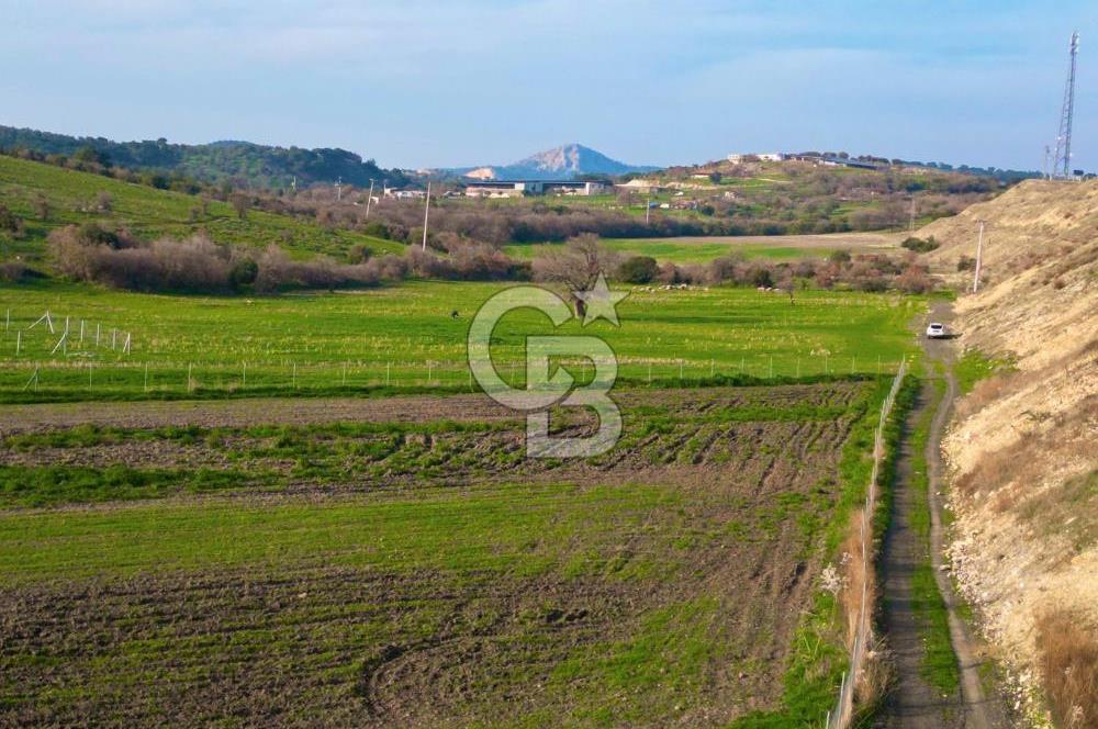 Aliağa Yukarı Şakran 214 m2 tarla