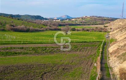 Aliağa Yukarı Şakran 214 m2 tarla
