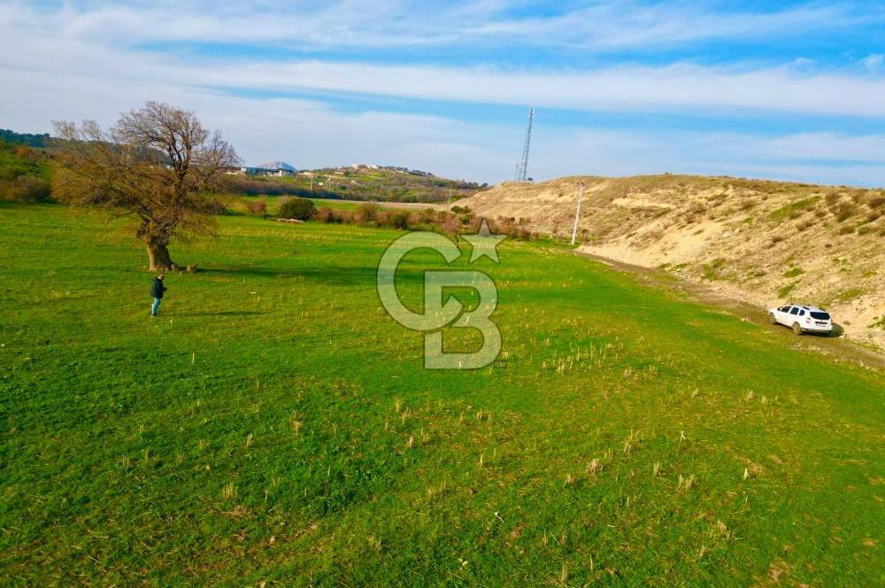 Aliağa Yukarı Şakran 214 m2 tarla