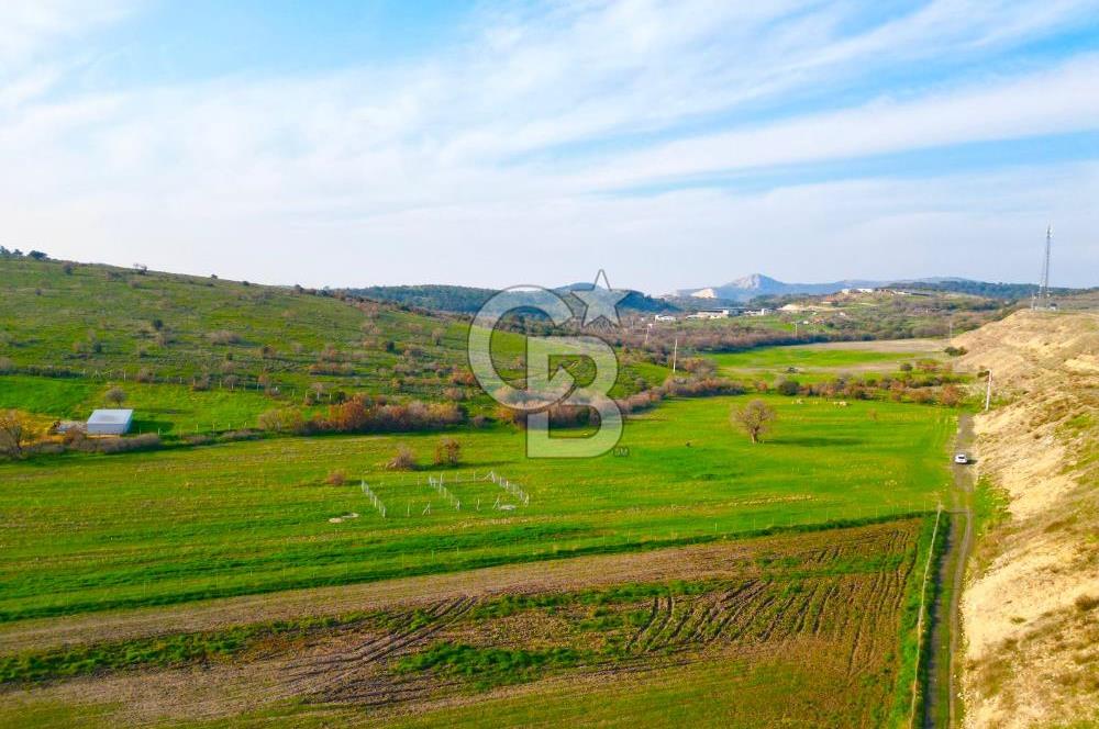 Aliağa Yukarı Şakran 214 m2 tarla