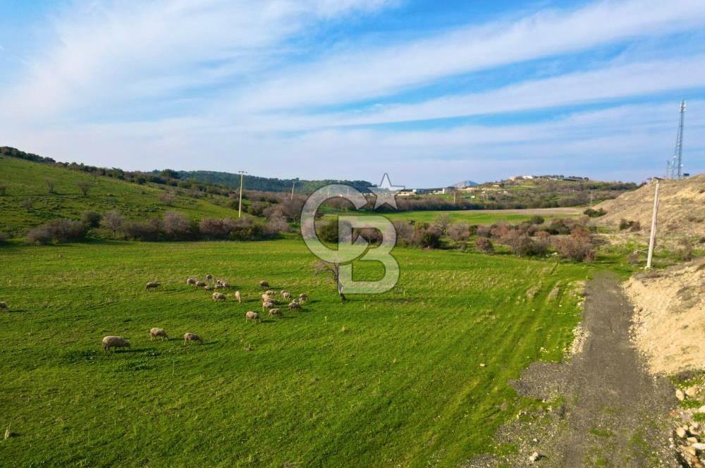 Aliağa Yukarı Şakran 214 m2 tarla
