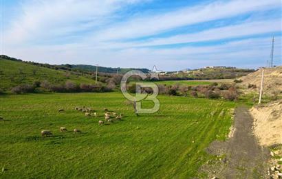 Aliağa Yukarı Şakran 214 m2 tarla