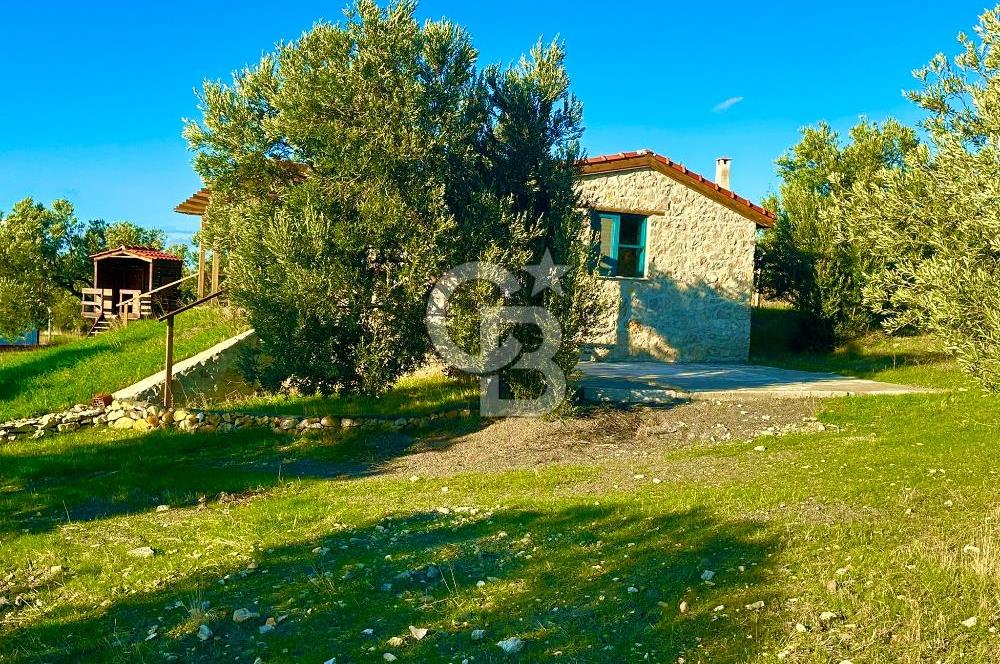 Aliağa Aşağı Şakran 220 m2 tarla