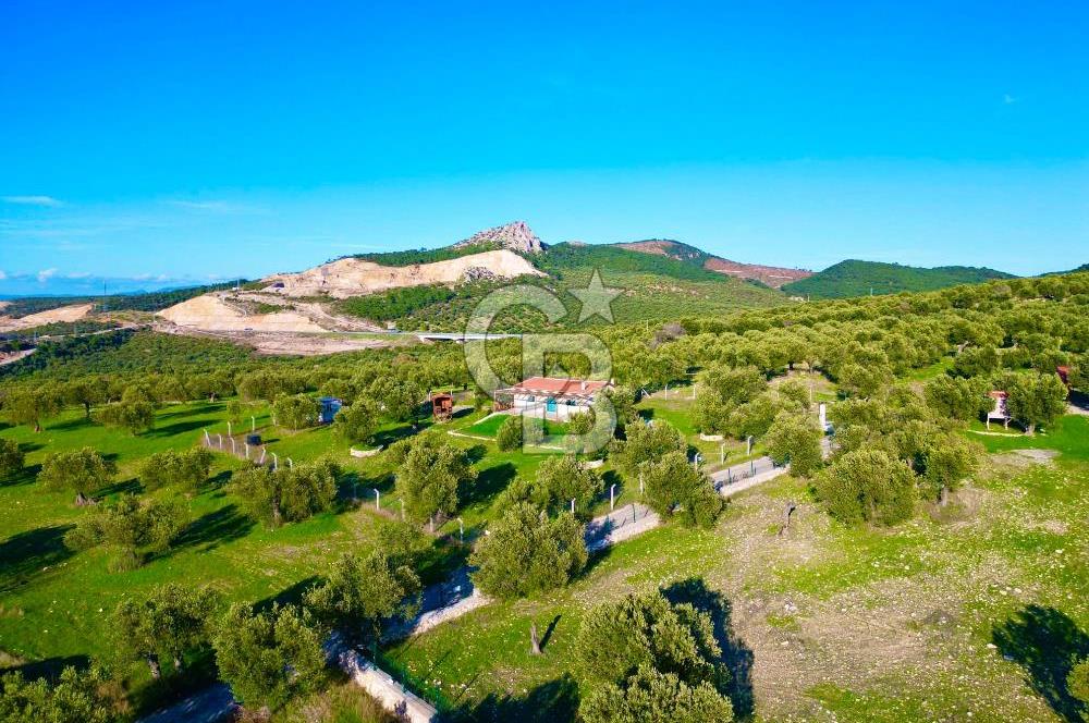 Aliağa Aşağı Şakran 220 m2 tarla