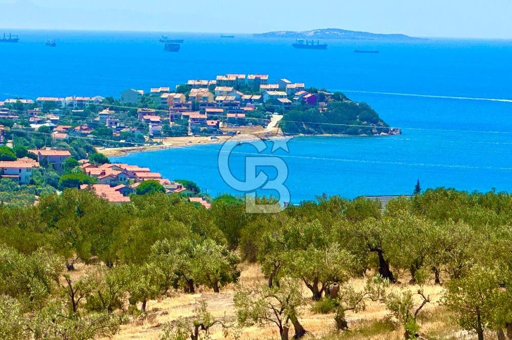 Aliağa Aşağı Şakran 220 m2 tarla
