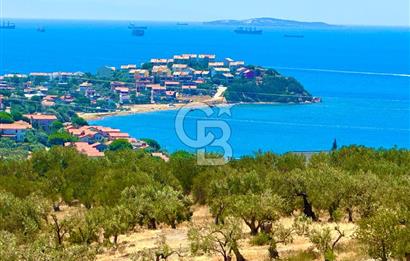 Aliağa Aşağı Şakran 220 m2 tarla