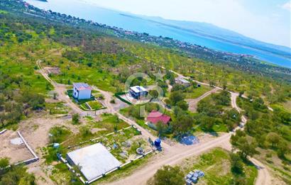 Aliağa Aşağı Şakran 220 m2 tarla