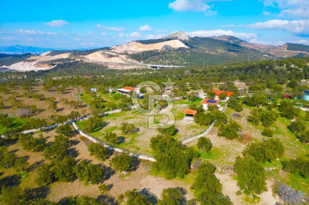 Aliağa Aşağı Şakran 220 m2 tarla
