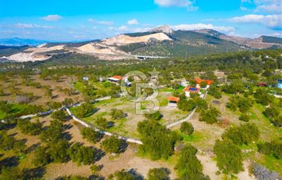 Aliağa Aşağı Şakran 220 m2 tarla