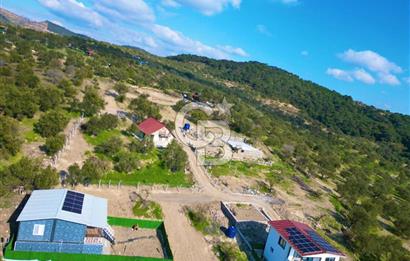 Aliağa Aşağı Şakran 220 m2 tarla