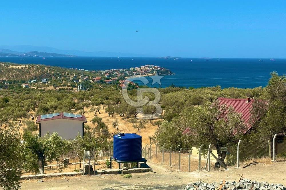Aliağa Aşağı Şakran 220 m2 tarla