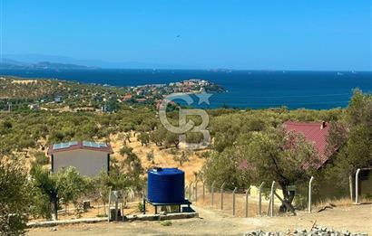 Aliağa Aşağı Şakran 220 m2 tarla