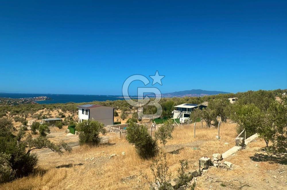 Aliağa Aşağı Şakran 220 m2 tarla