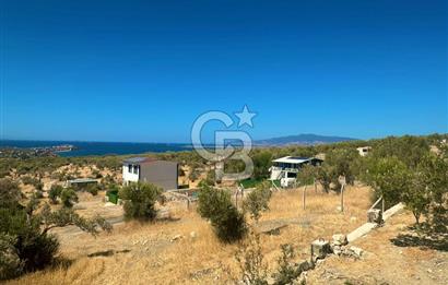 Aliağa Aşağı Şakran 220 m2 tarla