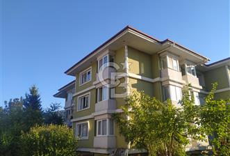 YALOVA MERKEZ PAŞAKENT MAH. DOĞA İÇERİSİNDE KİRALIK 3+1 DAİRE!..