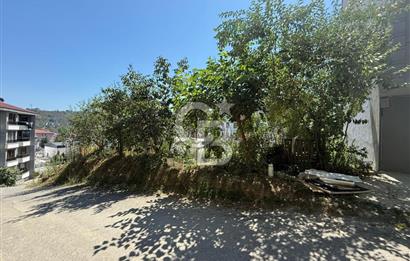 ARAKLI LİSELER KONUMLU SATILIK İMARA DÜZ AÇIK ARSA