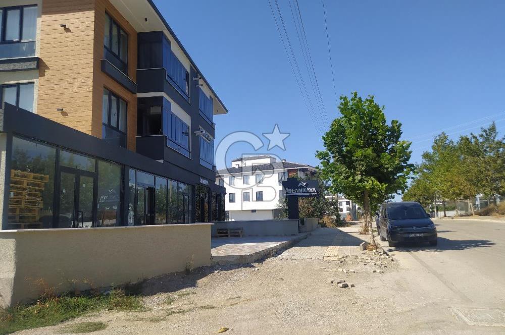 YALOVA MERKEZ VATAN CADDESİ KİRALIK DÜKKAN MAĞAZA! 240 M2
