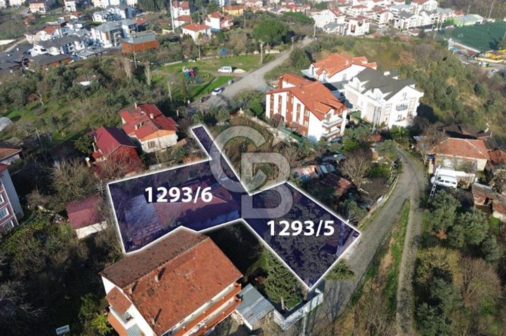 CB Elexus| Değirmendere'de 1675 m2 Deniz Manzaralı Kat Karşılığı