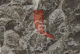 Denizli Pamukkale Kocadere'de 25.861 M² Satılık Arazi