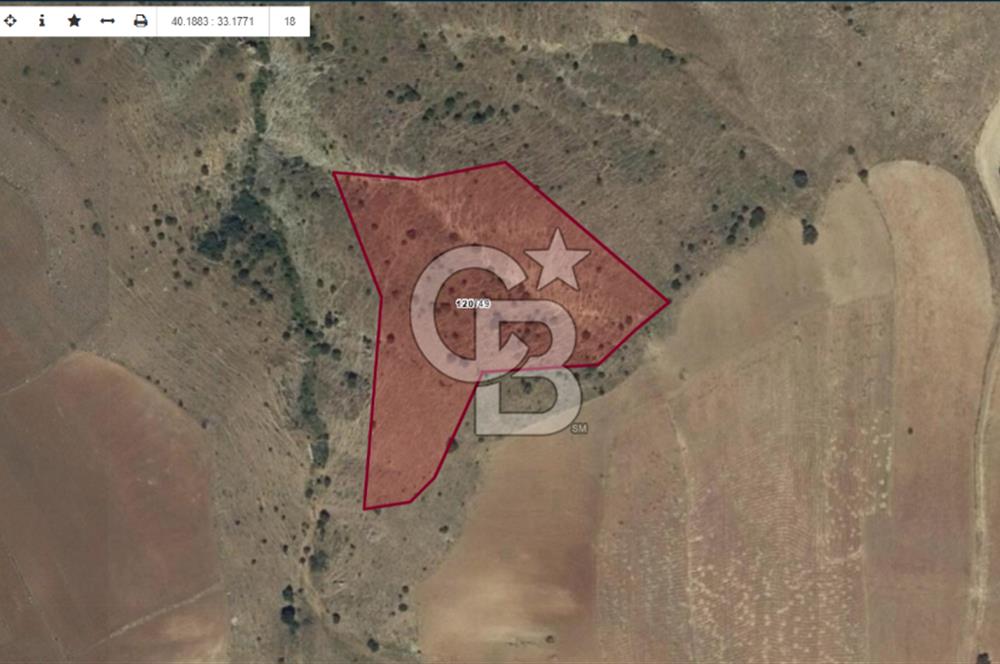 ÇUBUK AKKUZULU'DA 5.750M2 SATILIK TARLA
