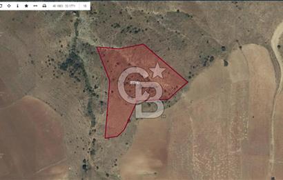 ÇUBUK AKKUZULU'DA 5.750M2 SATILIK TARLA
