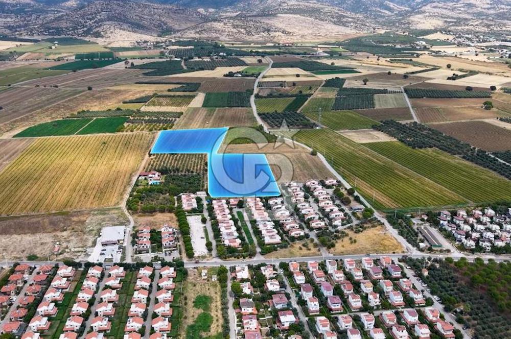 Dikili Kabakum'da İmar Sınırında Satılık Tarla 
