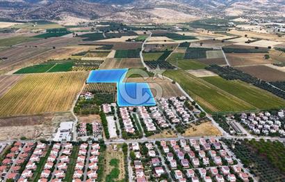 Dikili Kabakum'da İmar Sınırında Satılık Tarla 