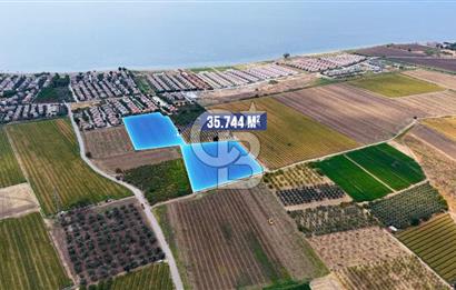 Dikili Kabakum'da İmar Sınırında Satılık Tarla 