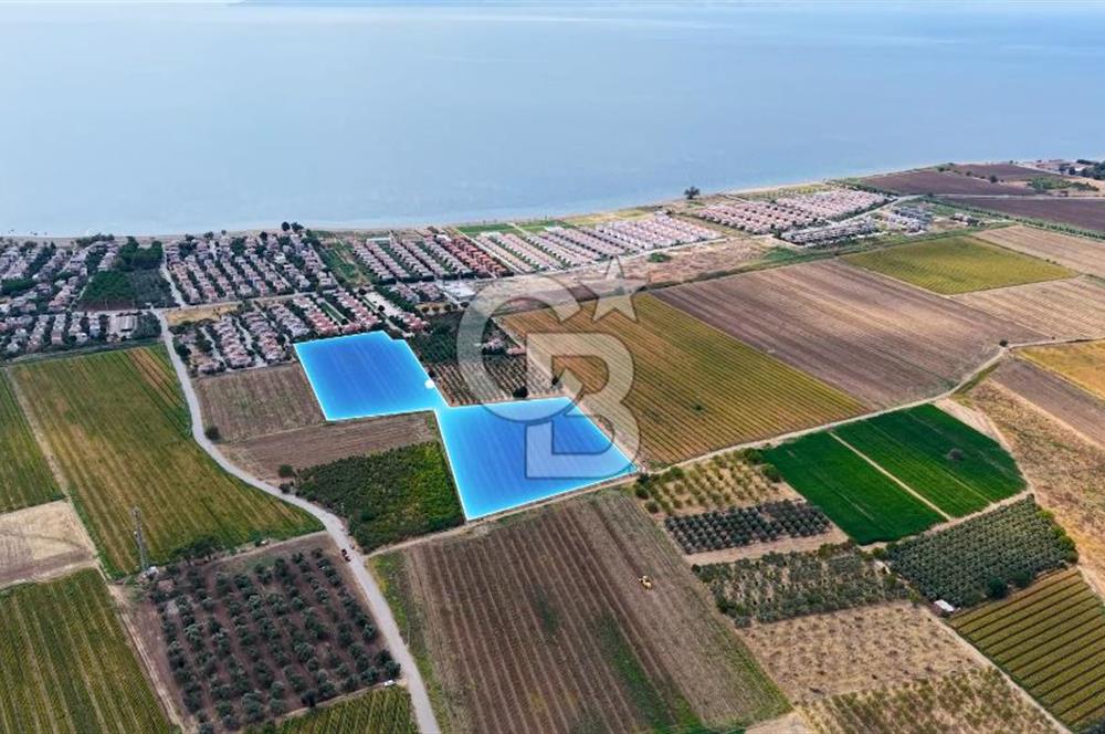 Dikili Kabakum'da İmar Sınırında Satılık Tarla 