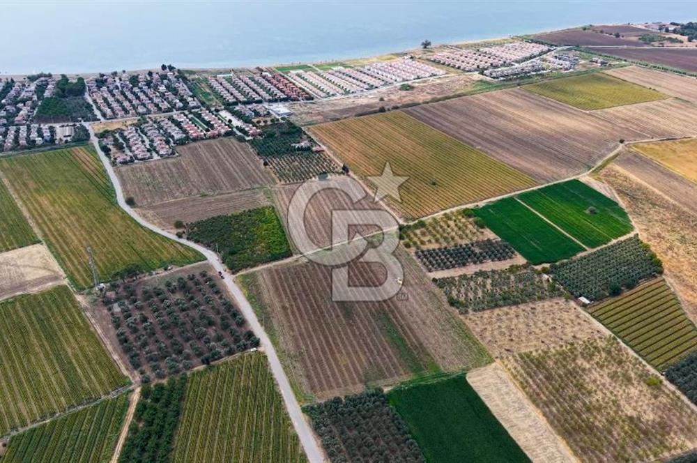 Dikili Kabakum'da İmar Sınırında Satılık Tarla 