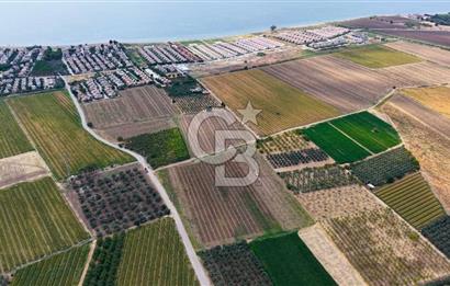 Dikili Kabakum'da İmar Sınırında Satılık Tarla 