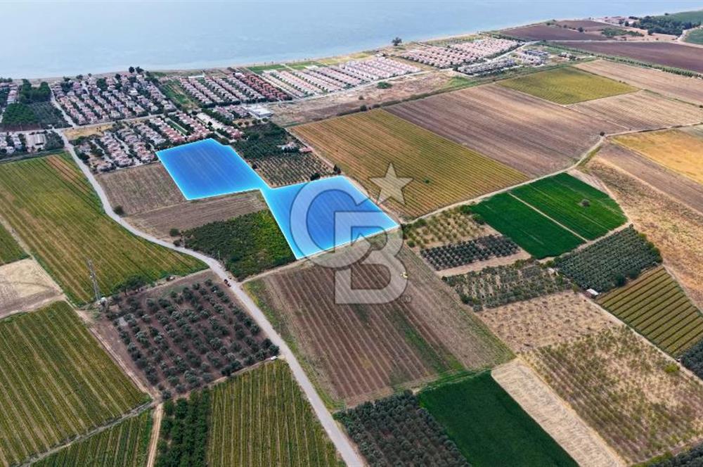 Dikili Kabakum'da İmar Sınırında Satılık Tarla 