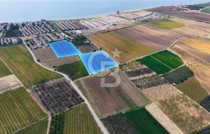 Dikili Kabakum'da İmar Sınırında Satılık Tarla 